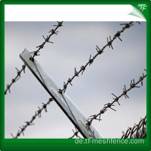 Feuerverzinkter Straight Razor Barbed Wire